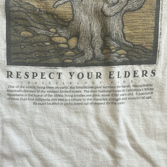 90’s Vintage Single Stitch American Forests Global Releaf T-Shirt Large USA 🇺🇸 - Picture 8 of 8